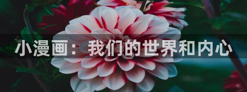 斗罗4漫画下拉式奇漫屋：小漫画：我们的世界和内心
